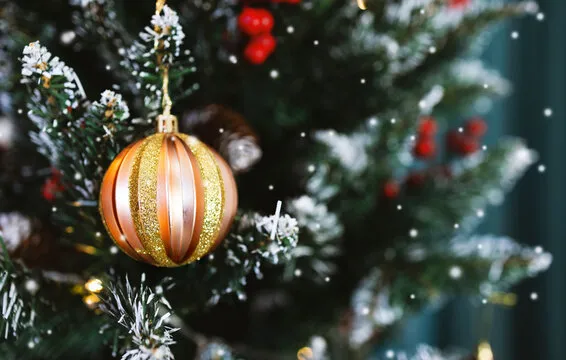 星亿娱乐 平台界面